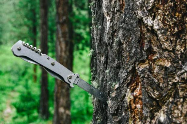 Best Uses for CruWear Steel Knives